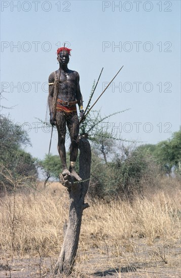 SUDAN, Tribal Peoples, Dinka man standing in tree with net and spear.