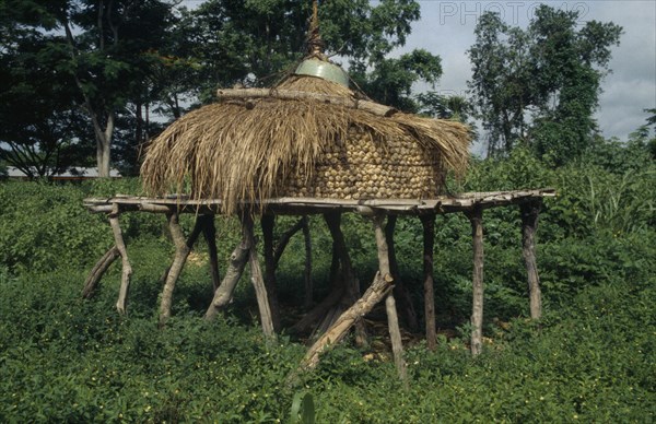 GHANA, Eastern Region, Maize store on raised platform with straw lid