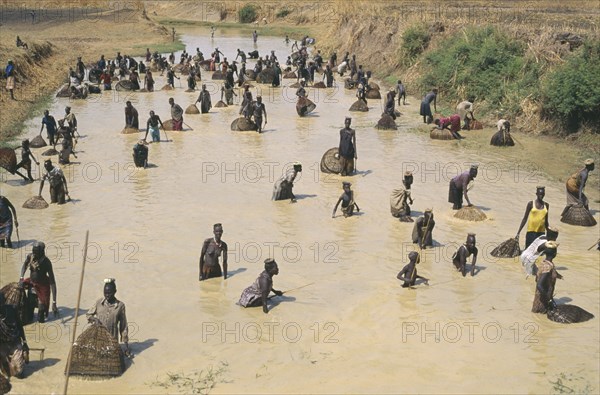 SUDAN, Bahr al Ghazal, Dinka tribe fishing with nets and spears in shallow river.