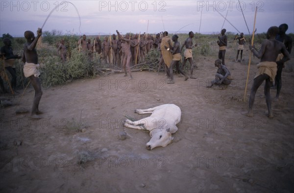 ETHIOPIA, People, Mursi tribe sacrifice cow for Nitha Age Set Ceremony.