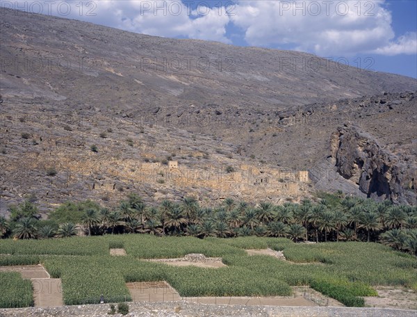 OMAN, Wadi Ghul, Oasis and agricultural land near Nizwa.