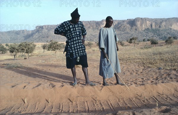 MALI, Dogon, A Diviner and Dogon client explains marks left in sand by desert fox over the marks he made the day before.