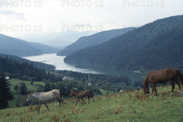 Roumanie. Les Carpates