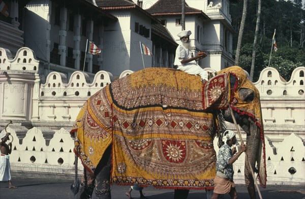 SRI LANKA, Kandy, Perahera Buddhist festival procession. Elephant wearing decorative batik cloth.
