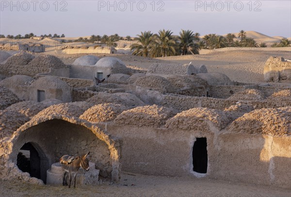 ALGERIA, Sahara, Traditional mud architecture with donkey in foreground.