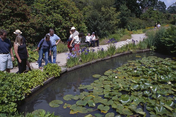 20059207 ENGLAND Surrey Woking Wisley Royal Horticultural Society Garden. Visitors looking over pond filled with water lilies.