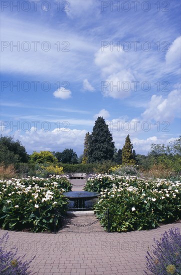 20059209 ENGLAND Surrey Woking Wisley Royal Horticultural Society Garden. View through path into formal garden with fountain .