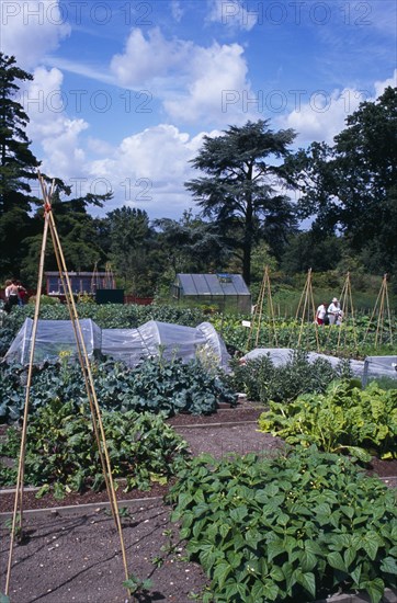 20059211 ENGLAND Surrey Woking Wisley Royal Horticultural Society Garden. View across vegetable plots.