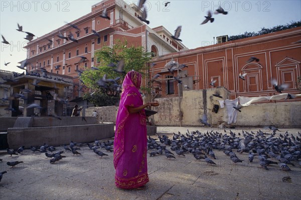 INDIA, Rajasthan, Jaipur, Woman in pink and gold sari feeding pigeons in courtyard.