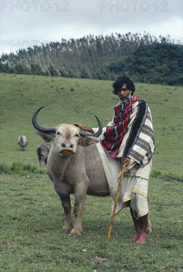 INDIA, Tamil Nadu, Nilgiri Mountains, Toda tribal priest wearing puthculi standing beside sacred buffalo.  The Toda are nature worshippers and have their own language.