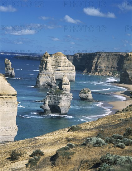 AUSTRALIA, Victoria, Port Campbell N.P, Great Ocean Road. The Twelve Apostles sea stacks in early morning