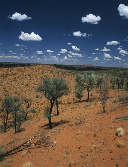 AUSTRALIA, Northern Territory, Kata Tjuta National Park, Kata Tjuta Viewing Area between Ayers Rock aka Uluru and The Olgas