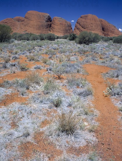 AUSTRALIA, Northern Territory, Kata Tjuta National Park, The Olgas seen from the Sunset Viewing Area