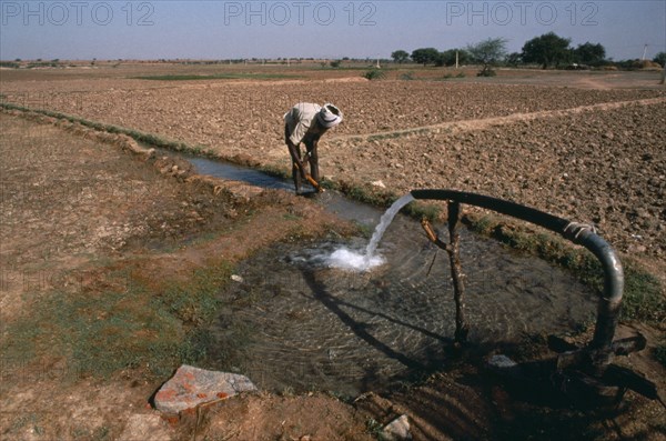 INDIA, Andhra Pradesh, Irrigation of agricultural land.