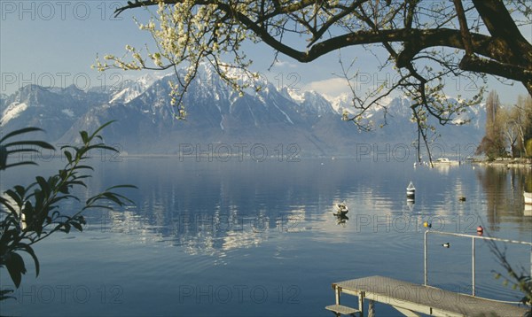 SWITZERLAND, Vaud, Montreux, Boat jetty and overhaning tree on shore of Lake Geneva with mountain backdrop reflected in surface.