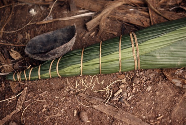 ECUADOR, Amazon, Auca, Auca curare process for making poison darts.