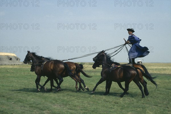 HUNGARY, Great Hungarian Plain, Cossack horseman driving team of five horses from sanding position on backs of pair behind.