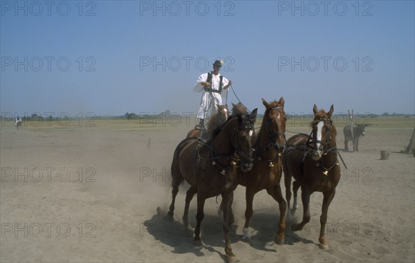 HUNGARY, Great Hungarian Plain, Bugac Csarda, Cossack horseman driving team of five horses from sanding position on backs of pair behind.