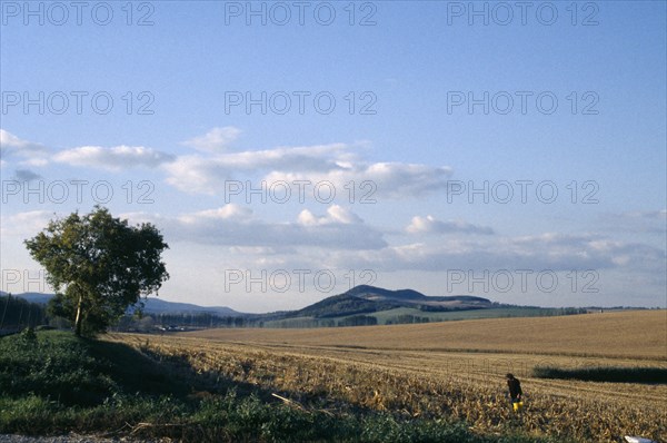 HUNGARY, Farming, Harvested maize field.