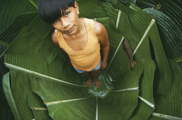 COLOMBIA, Amazonas, Santa Isabel, Young Macuna boy standing in a hole lined with Heliconia leaves used for storing manioc starch.