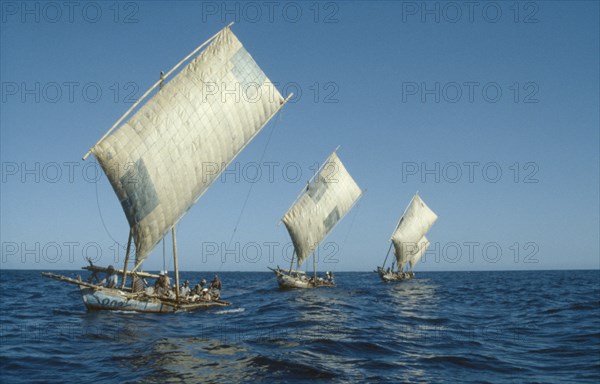 INDONESIA, Nusa Tenggara, Lembata, "Whaling fleet at sea towing caught whale back to village of Lamalera a protected, subsistence whaling village not subject to international whaling charters or limitations."