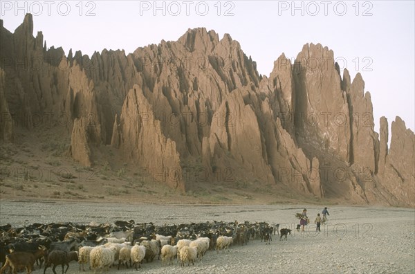 BOLIVIA, Potosi, Shepherd woman returning home for the night with her flock of sheep and goats in area near Palala and Tupiza.