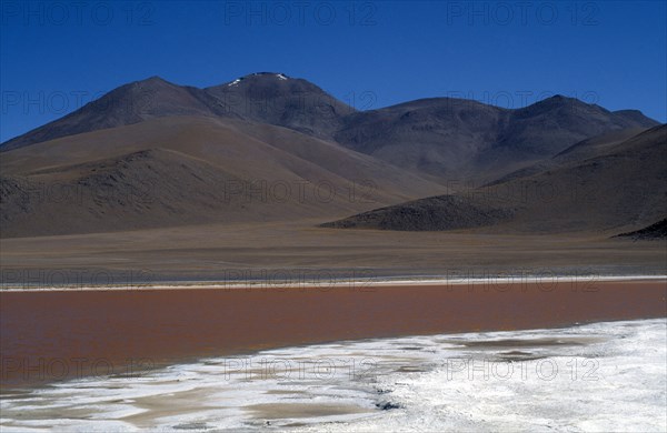 BOLIVIA, Altiplano, Potosi, "Salar de Uyuni.  Laguna Colorada, salt and gypsum crusted shore and red algae coloured water."
