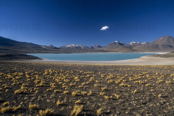 BOLIVIA, Altiplano, Potosi, Salar de Uyuni.  Laguna Verde.  Stony desert ground with tufts of grass in foreground and salt crusted shore and jade cloured water of lake beyond.