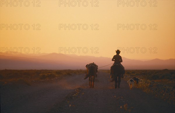 CHILE, Farming, Gaucho on horseback riding along dirt road at sunset leading a packhorse and with two dogs running alongside.