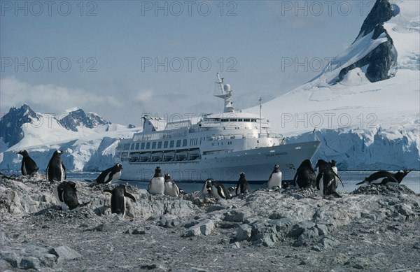 ANTARCTICA, Antarctic Peninsula, Paradise Bay, Ocean Princess cruise ship with penguin colony on rocks in foreground.
