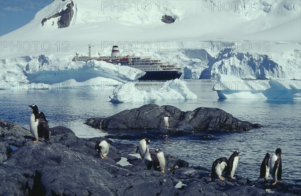 ANTARCTICA, Antarctic Peninsula, Paradise Harbour, Marco Polo cruise ship with penguin colony on rocks in foreground.