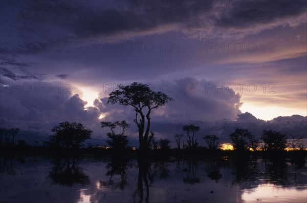 NAMIBIA, Etosha National Park, Dramatic purple and blue sunset over silhouetted Ghost trees reflected in summer storm waters