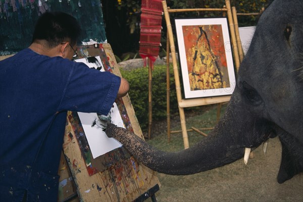 THAILAND, North, Chiang Mai, An elephant from Maesa Elephant Camp with his art teacher painting a picture of orchids
