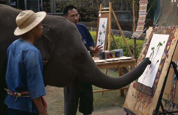 THAILAND, North, Chiang Mai, An elephant from Maesa Elephant Camp with his art teacher and handler painting a picture of orchids