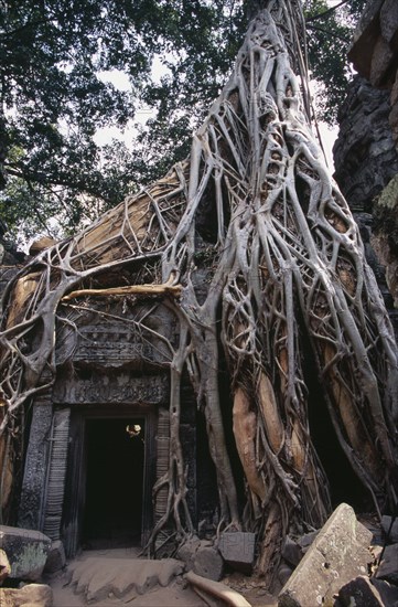 CAMBODIA, Siem Reap Province, Angkor, Ta Prohm.  Doorway of twelth century Buddhist temple amongst tangle of banyan tree roots.