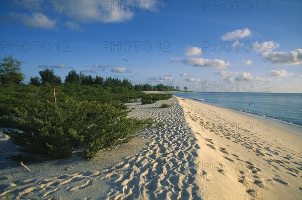 SEYCHELLES, Bird Island, Footprints along shoreline of empty sandy beach.