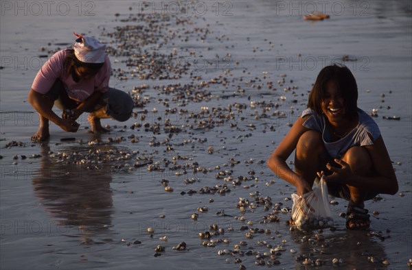 THAILAND, Krabi, Koh Lanta Yai, Klong Dao beach two women collecting shellfish at low tide