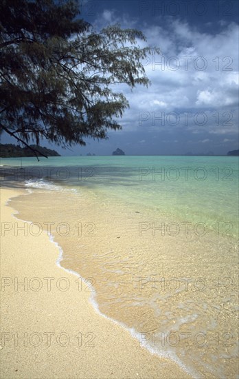 THAILAND, Krabi, Koh Lanta Marine NP, Koh Rok shoreline with gentle waves below overhanging casuaruna trees