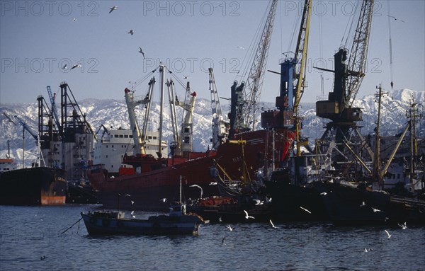 GEORGIA, Ajaria, Batumi, Fishing boats and trawlers in port on the Black Sea coast.
