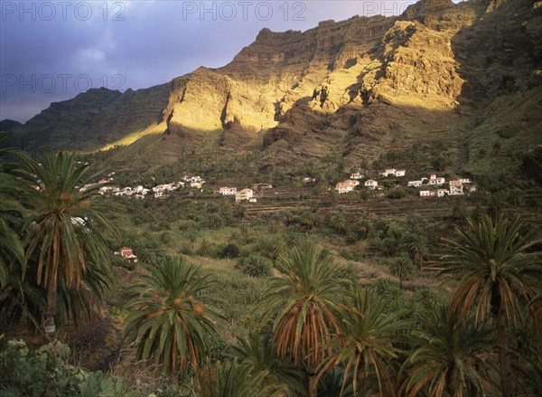 SPAIN, Canary Islands, La Gomera, Valle Gran Rey.  Houses on terraced hillside at foot of sheer craggy rock face with date palms in the foreground.