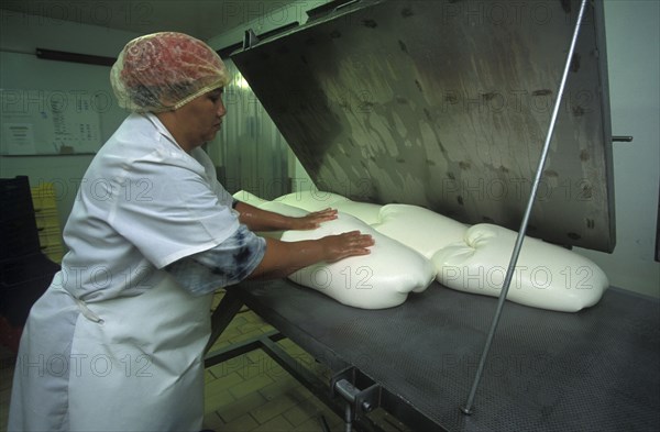 SOUTH AFRICA, Western Cape, Paarl, Female worker preparing goats milk for processing in to cheese at Fairview goats cheese and wine estate