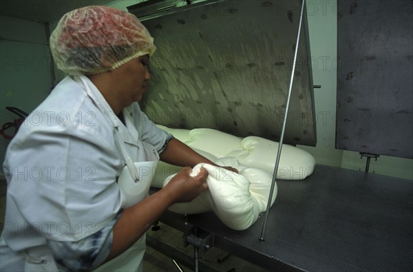 SOUTH AFRICA, Western Cape, Paarl, Female worker preparing goats milk for processing in to cheese at Fairview goats cheese and wine estate