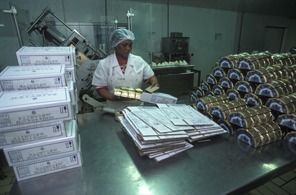 SOUTH AFRICA, Western Cape, Paarl, Female worker packing goats cheese at Fairview goats cheese and wine estate