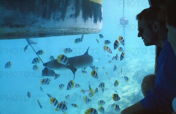 PACIFIC ISLANDS, French Polynesia, Tuamotu Islands, Ringiroa.  Visitors watchng fish in aquarium.