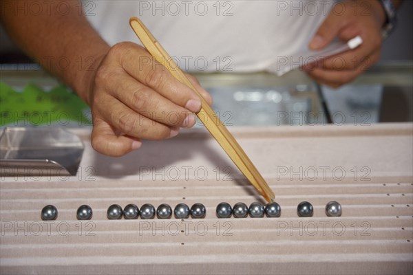 PACIFIC ISLANDS, French Polynesia, Tuamotu Islands, Manihi.  Black pearls.