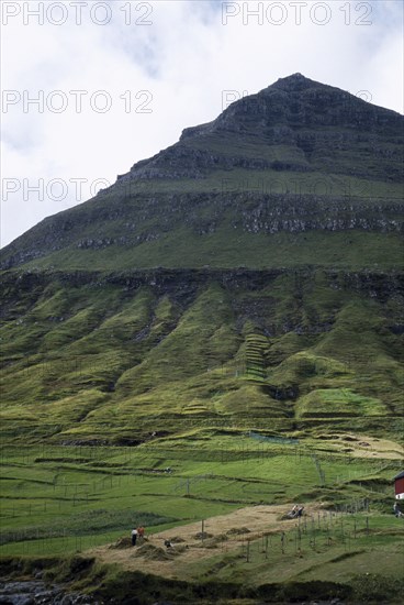 DENMARK, Faroe Islands, People working in hay field on lower slopes of steep pointed hillside.