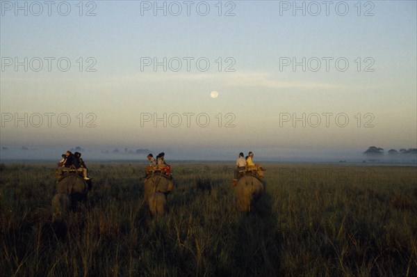 INDIA, Assam, Kaziranga National  Park, Tourists mounted on elephants on safari to see rhino