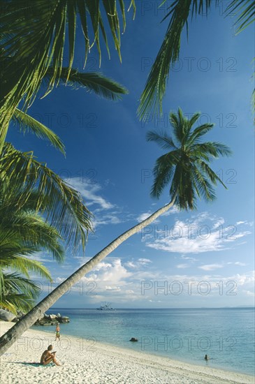 MALAYSIA, Terengganu, Perhentian Besar, Quiet sandy beach with overhanging palm trees and aquamarine water.