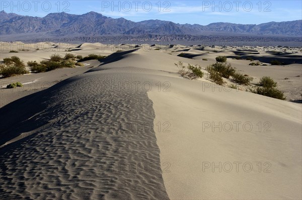 USA, California, Death Valley, View along the ridge of a sand dune in the desert landscape with a rocky horizon in the distance