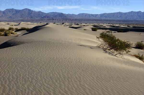 USA, California, Death Valley, View over sand dunes in the desert landscape with a rocky horizon in the distance